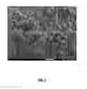 Fig. 08 - Yolk-shell-structured material, anode material, anode, battery, and method of forming same