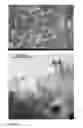 Fig. 08 - REDUCTION OF METAL/SEMI-METAL OXIDES