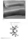 Fig. 07 - INORGANIC SEMICONDUCTING COMPOUNDS
