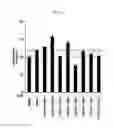 Fig. 02 - Compound having BLT inhibitory activity and composition, for preventing or treating inflammatory diseases, comprising same as active ingredient