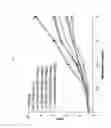 Fig. 24 - Compound having BLT inhibitory activity and composition, for preventing or treating inflammatory diseases, comprising same as active ingredient