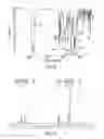 Fig. 08 - Crystalline forms of an NK-1 antagonist