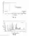 Fig. 13 - Crystalline forms of an NK-1 antagonist