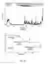 Fig. 14 - Crystalline forms of an NK-1 antagonist