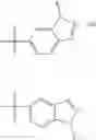Fig. 22 - Substituted tetrahydroisoquinoline compounds as factor XIa inhibitors