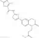 Fig. 119 - Compositions and methods of targeting mutant K-ras