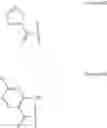 Fig. 174 - Compositions and methods of targeting mutant K-ras