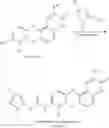 Fig. 32 - Respiratory formulations and compounds for use therein