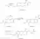 Fig. 33 - Respiratory formulations and compounds for use therein