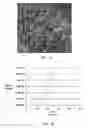Fig. 02 - Sensor compounds and associated methods and devices