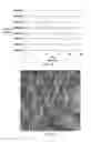 Fig. 04 - Sensor compounds and associated methods and devices