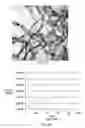 Fig. 11 - Sensor compounds and associated methods and devices