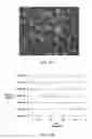 Fig. 16 - Sensor compounds and associated methods and devices