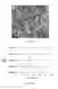 Fig. 20 - Sensor compounds and associated methods and devices