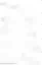 Fig. 206 - 3-((Hetero-)Aryl)-8-Amino-2-Oxo-1,3-Diaza-Spiro-[4.5]-Decane Derivatives