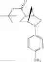 Fig. 101 - CDK inhibitors