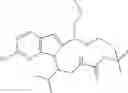 Fig. 112 - CDK inhibitors