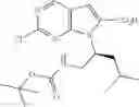 Fig. 118 - CDK inhibitors