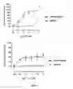 Fig. 02 - Selective modulators of the activity of the GPR55 receptor: chromenopyrazole derivatives