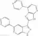 Fig. 1031 - 3-(3H-imidazo[4,5-B]pyridin-2-yl)-1 H-pyrazolo[3,4-C]pyridine and therapeutic uses thereof