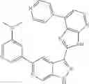 Fig. 118 - 3-(3H-imidazo[4,5-B]pyridin-2-yl)-1 H-pyrazolo[3,4-C]pyridine and therapeutic uses thereof