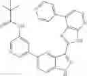 Fig. 119 - 3-(3H-imidazo[4,5-B]pyridin-2-yl)-1 H-pyrazolo[3,4-C]pyridine and therapeutic uses thereof
