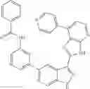 Fig. 122 - 3-(3H-imidazo[4,5-B]pyridin-2-yl)-1 H-pyrazolo[3,4-C]pyridine and therapeutic uses thereof