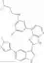 Fig. 1253 - 3-(3H-imidazo[4,5-B]pyridin-2-yl)-1 H-pyrazolo[3,4-C]pyridine and therapeutic uses thereof