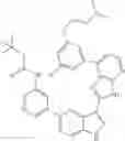 Fig. 1283 - 3-(3H-imidazo[4,5-B]pyridin-2-yl)-1 H-pyrazolo[3,4-C]pyridine and therapeutic uses thereof