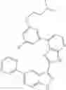 Fig. 1311 - 3-(3H-imidazo[4,5-B]pyridin-2-yl)-1 H-pyrazolo[3,4-C]pyridine and therapeutic uses thereof