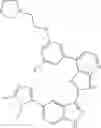 Fig. 1343 - 3-(3H-imidazo[4,5-B]pyridin-2-yl)-1 H-pyrazolo[3,4-C]pyridine and therapeutic uses thereof
