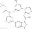 Fig. 1371 - 3-(3H-imidazo[4,5-B]pyridin-2-yl)-1 H-pyrazolo[3,4-C]pyridine and therapeutic uses thereof