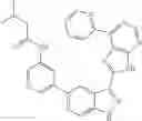 Fig. 139 - 3-(3H-imidazo[4,5-B]pyridin-2-yl)-1 H-pyrazolo[3,4-C]pyridine and therapeutic uses thereof