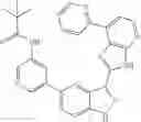 Fig. 145 - 3-(3H-imidazo[4,5-B]pyridin-2-yl)-1 H-pyrazolo[3,4-C]pyridine and therapeutic uses thereof