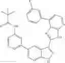 Fig. 15 - 3-(3H-imidazo[4,5-B]pyridin-2-yl)-1 H-pyrazolo[3,4-C]pyridine and therapeutic uses thereof