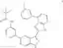 Fig. 1544 - 3-(3H-imidazo[4,5-B]pyridin-2-yl)-1 H-pyrazolo[3,4-C]pyridine and therapeutic uses thereof