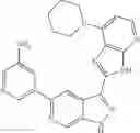 Fig. 166 - 3-(3H-imidazo[4,5-B]pyridin-2-yl)-1 H-pyrazolo[3,4-C]pyridine and therapeutic uses thereof