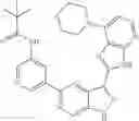 Fig. 171 - 3-(3H-imidazo[4,5-B]pyridin-2-yl)-1 H-pyrazolo[3,4-C]pyridine and therapeutic uses thereof