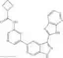 Fig. 261 - 3-(3H-imidazo[4,5-B]pyridin-2-yl)-1 H-pyrazolo[3,4-C]pyridine and therapeutic uses thereof