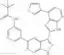 Fig. 301 - 3-(3H-imidazo[4,5-B]pyridin-2-yl)-1 H-pyrazolo[3,4-C]pyridine and therapeutic uses thereof