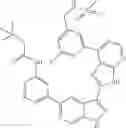 Fig. 439 - 3-(3H-imidazo[4,5-B]pyridin-2-yl)-1 H-pyrazolo[3,4-C]pyridine and therapeutic uses thereof
