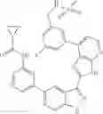 Fig. 442 - 3-(3H-imidazo[4,5-B]pyridin-2-yl)-1 H-pyrazolo[3,4-C]pyridine and therapeutic uses thereof