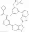 Fig. 443 - 3-(3H-imidazo[4,5-B]pyridin-2-yl)-1 H-pyrazolo[3,4-C]pyridine and therapeutic uses thereof