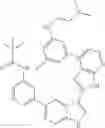 Fig. 457 - 3-(3H-imidazo[4,5-B]pyridin-2-yl)-1 H-pyrazolo[3,4-C]pyridine and therapeutic uses thereof