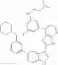 Fig. 464 - 3-(3H-imidazo[4,5-B]pyridin-2-yl)-1 H-pyrazolo[3,4-C]pyridine and therapeutic uses thereof