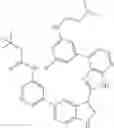 Fig. 465 - 3-(3H-imidazo[4,5-B]pyridin-2-yl)-1 H-pyrazolo[3,4-C]pyridine and therapeutic uses thereof