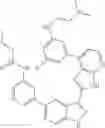 Fig. 466 - 3-(3H-imidazo[4,5-B]pyridin-2-yl)-1 H-pyrazolo[3,4-C]pyridine and therapeutic uses thereof