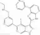 Fig. 559 - 3-(3H-imidazo[4,5-B]pyridin-2-yl)-1 H-pyrazolo[3,4-C]pyridine and therapeutic uses thereof