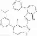 Fig. 560 - 3-(3H-imidazo[4,5-B]pyridin-2-yl)-1 H-pyrazolo[3,4-C]pyridine and therapeutic uses thereof