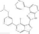 Fig. 566 - 3-(3H-imidazo[4,5-B]pyridin-2-yl)-1 H-pyrazolo[3,4-C]pyridine and therapeutic uses thereof